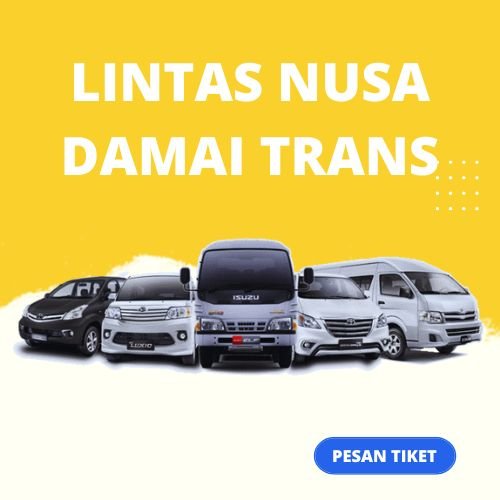 rute Travel Jambi Padang